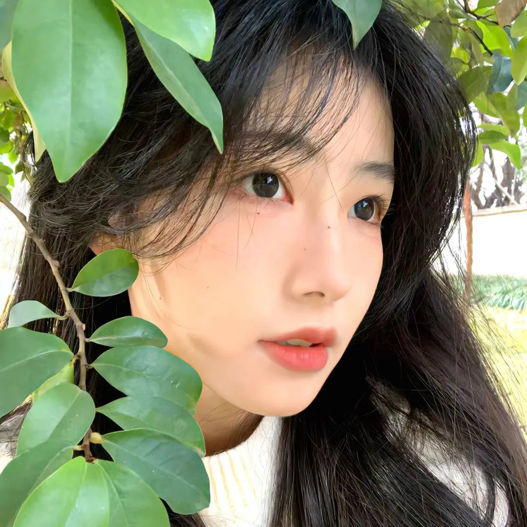 战地青春之歌